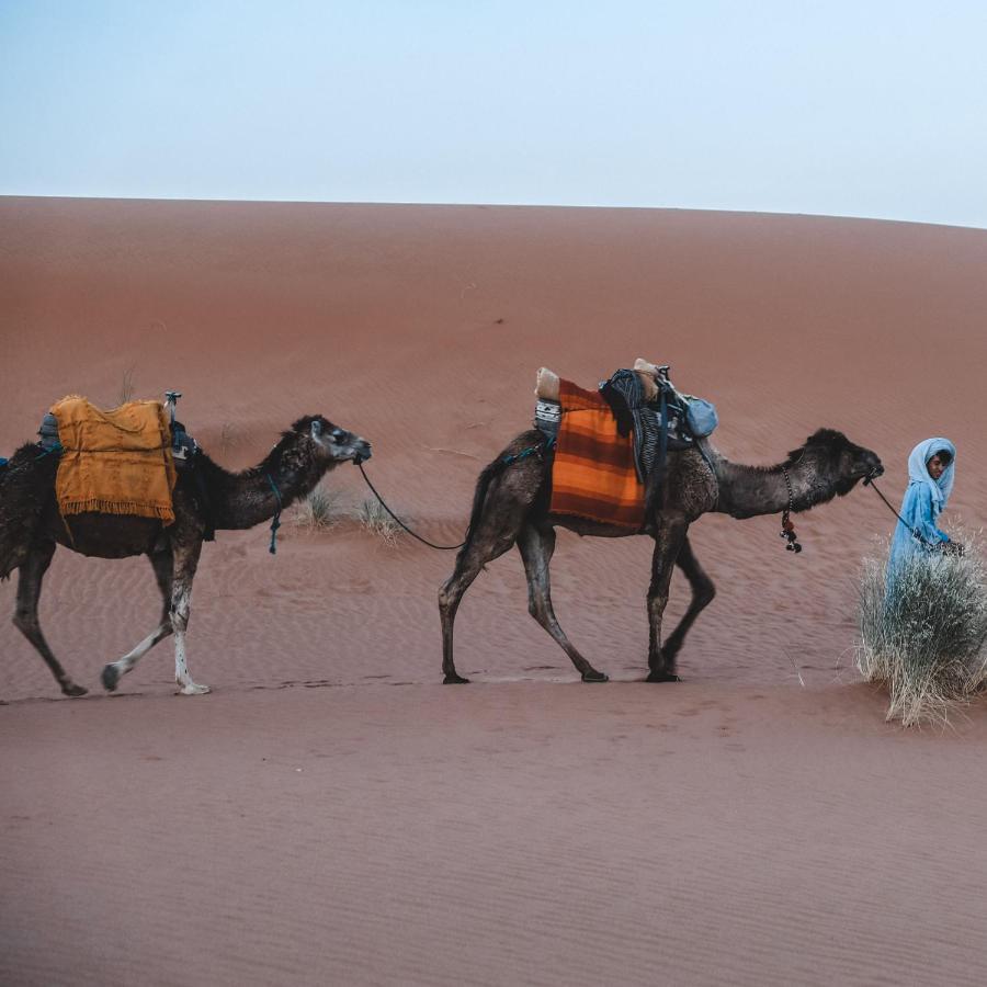 Camel Luxury Camp Bed & Breakfast เมอร์ซูกา ภายนอก รูปภาพ