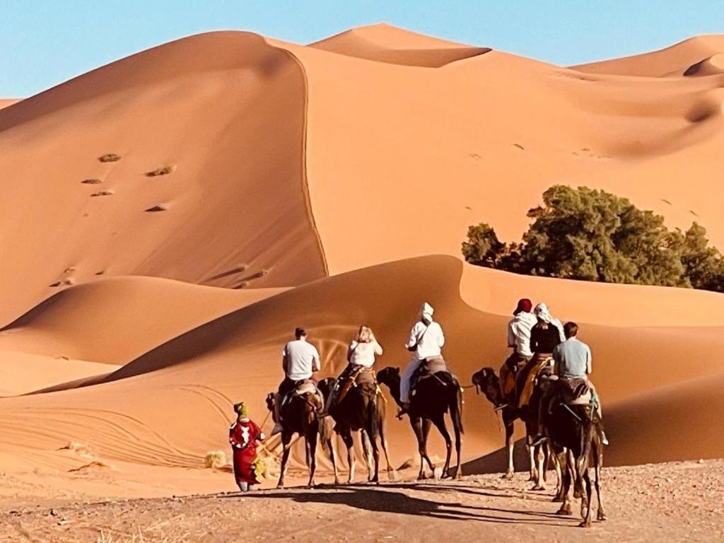 Camel Luxury Camp Bed & Breakfast เมอร์ซูกา ภายนอก รูปภาพ